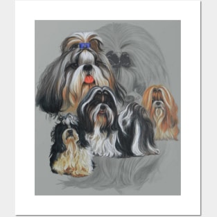 Shih Tzu Medley Posters and Art